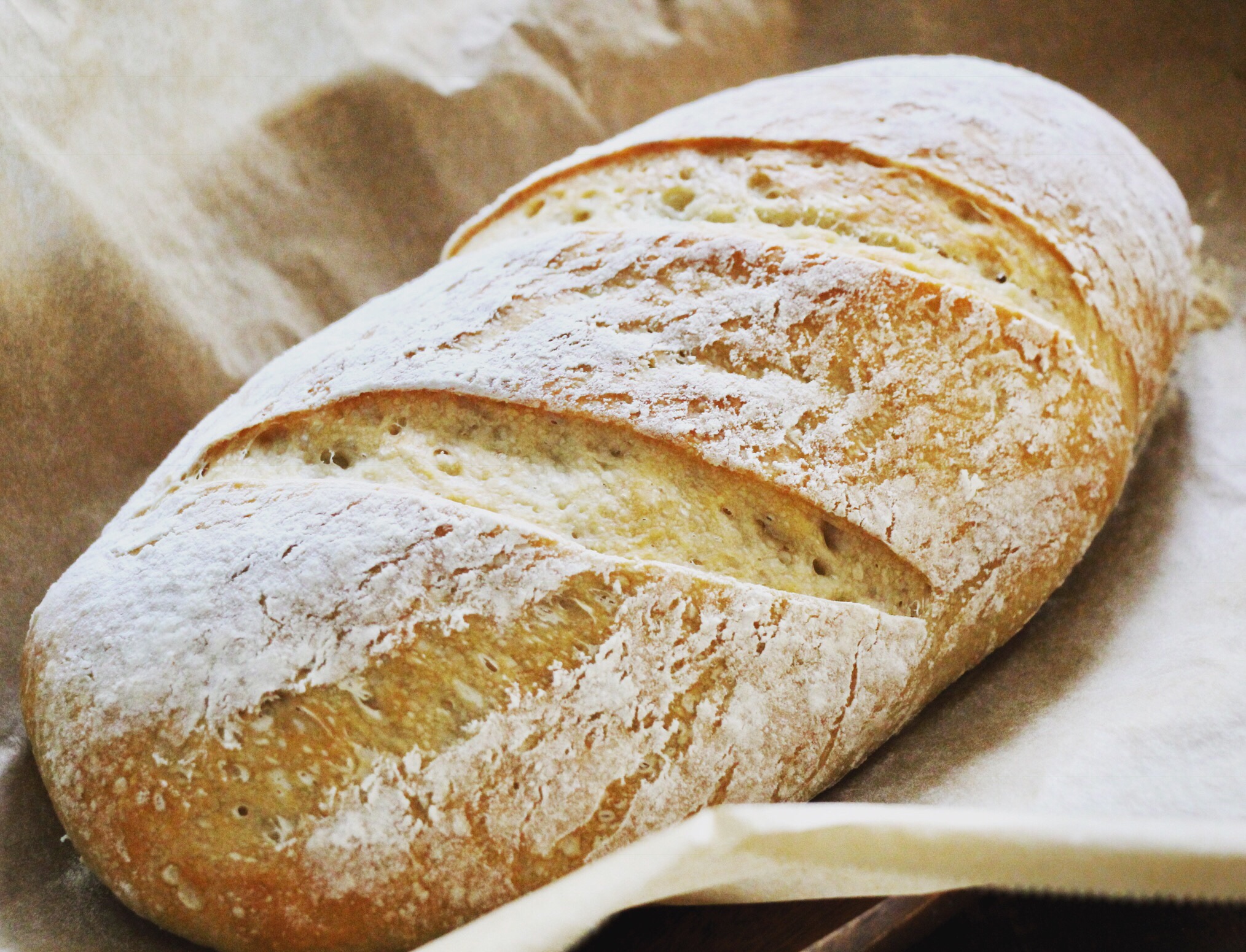 Crusty White Bread Kellys Kitchen Creation
